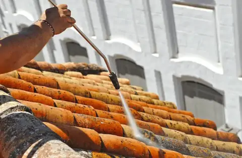 Nettoyage de toitures - Montestruc-sur-Gers